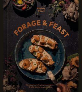 Vegan CookBook Author 