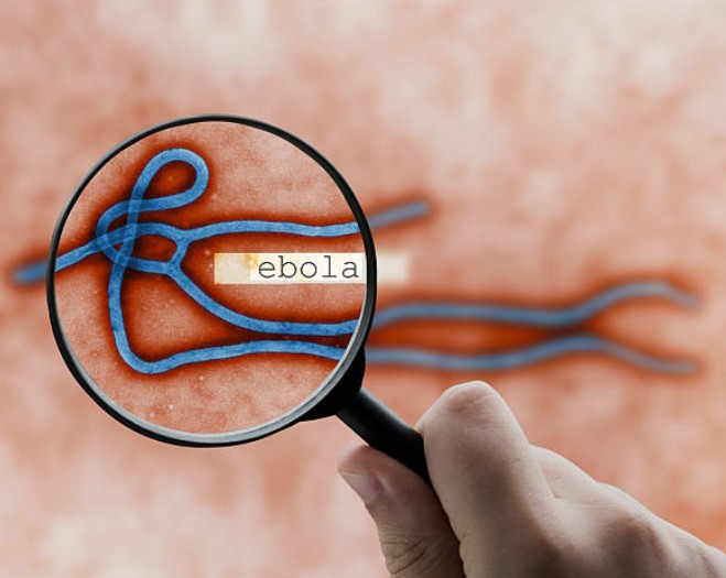 Ebola Outbreak